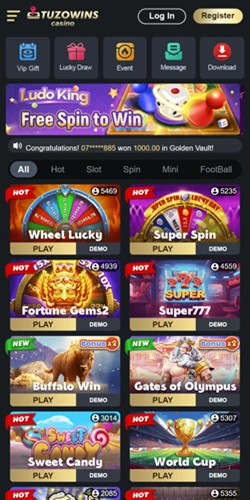 Tuzowins App Interface